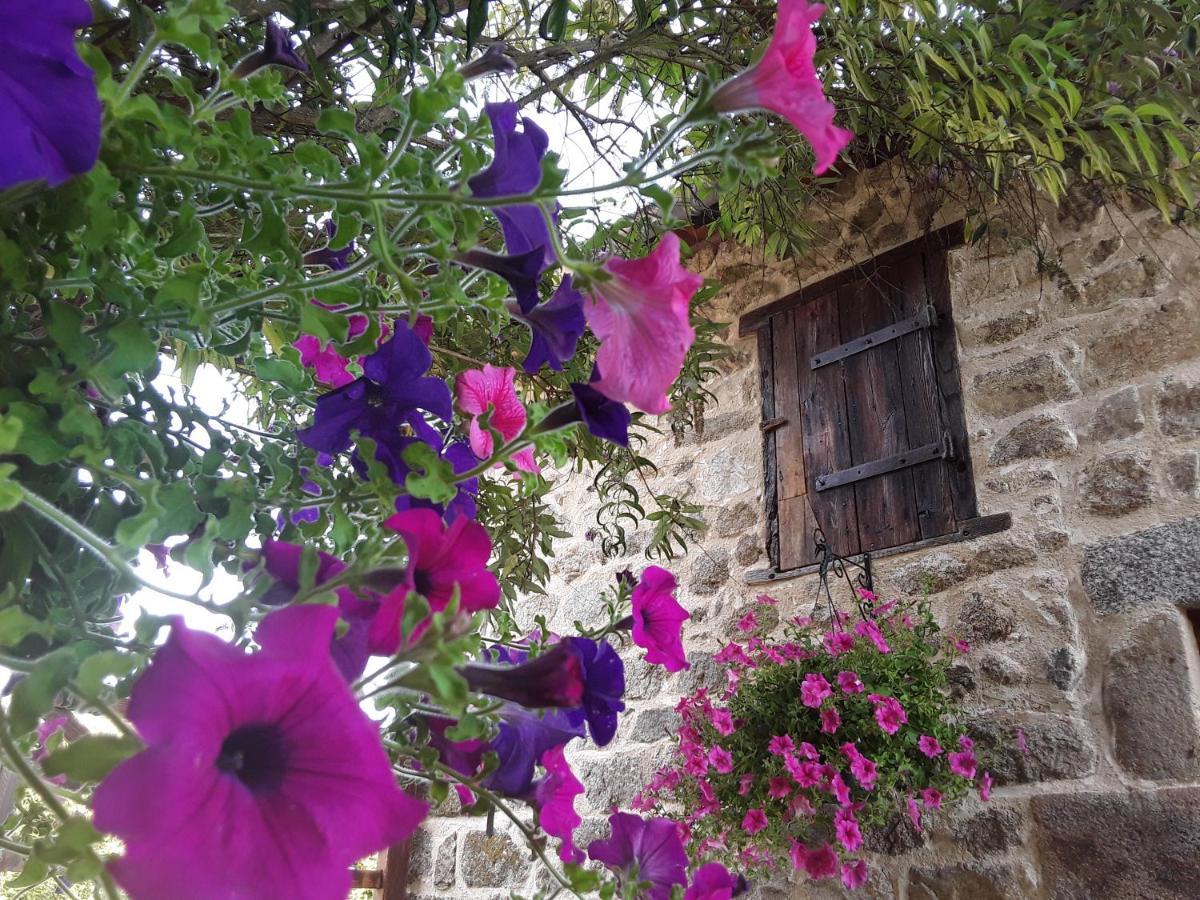 La Belle Ame Bed & Breakfast Saint-Priest-des-Champs Bagian luar foto