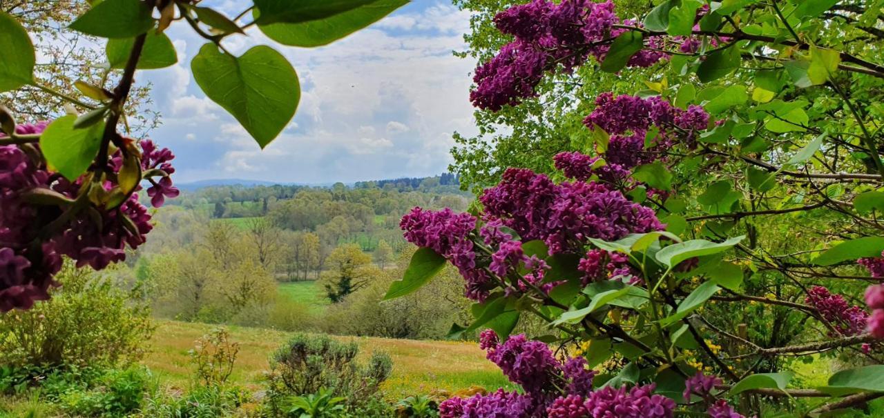 La Belle Ame Bed & Breakfast Saint-Priest-des-Champs Bagian luar foto